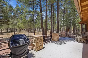 2918 Starlight Dr, Happy Jack, AZ 86024 - Photo 40