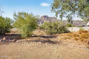 529 S Val Vista Rd, Apache Junction, AZ 85119 - Photo 56
