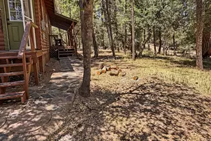 3780 N Hunt Dr, Pine, AZ 85544 - Photo 52