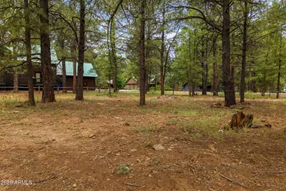 3351 Soaring Eagle Way #47, Pinetop, AZ 85935 - Photo 8