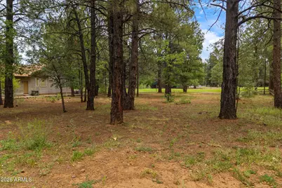 3351 Soaring Eagle Way #47, Pinetop, AZ 85935 - Photo 12