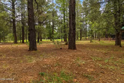 3351 Soaring Eagle Way #47, Pinetop, AZ 85935 - Photo 10