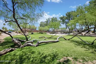 8654 E Mescal St, Scottsdale, AZ 85260 - Photo 34