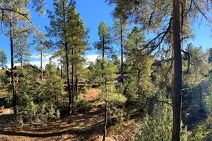1603 E Velvet Mesquite Ct, Payson, AZ 85541 - Photo 42