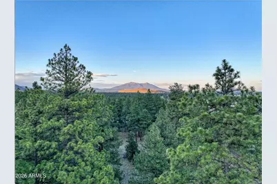 12847 E Dream Acres Lane #-, Parks, AZ 86018 - Photo 8