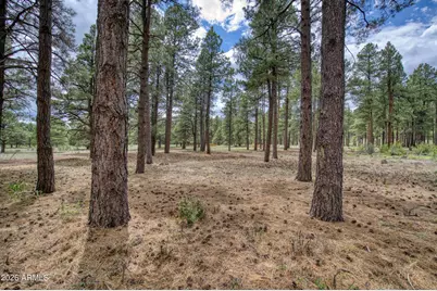 12847 E Dream Acres Lane #-, Parks, AZ 86018 - Photo 32