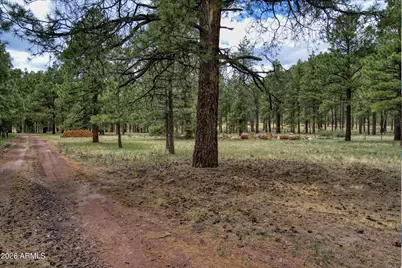 12847 E Dream Acres Lane #-, Parks, AZ 86018 - Photo 26