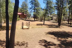 1581 N 25th Way, Show Low, AZ 85901 - Photo 32