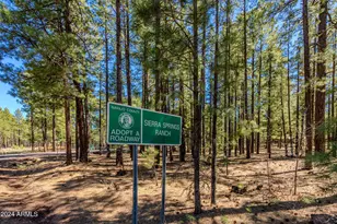 00000 Sky Hi Rd, Pinetop, AZ 85935 - Photo 1