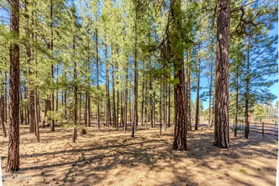 00000 Sky Hi Road #-, Pinetop, AZ 85935 - Photo 4