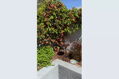 280 S Evergreen Road #1241, Tempe, AZ 85288 - Photo 38
