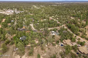 2950 Country View Ln, Overgaard, AZ 85933 - Photo 40