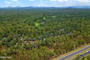 2978 Timber Line Rd, Pinetop, AZ 85935 - Photo 34
