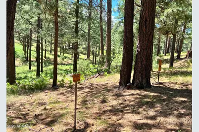 2367 Ryan Ranch Loop, Forest Lakes, AZ 85931 - Photo 20