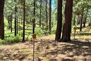 2367 Ryan Ranch Loop, Forest Lakes, AZ 85931 - Photo 20