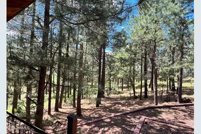 2367 Ryan Ranch Loop, Forest Lakes, AZ 85931 - Photo 18