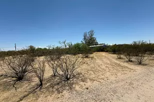 3764 N Razorback Dr, Florence, AZ 85132 - Photo 18