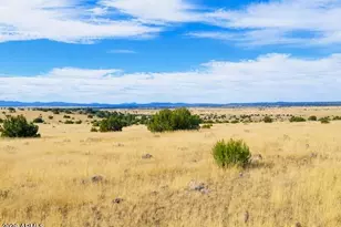 0 Arapaho --, Concho, AZ 85924 - Photo 1