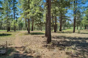 2701 E Byrds View Dr, Flagstaff, AZ 86005 - Photo 36