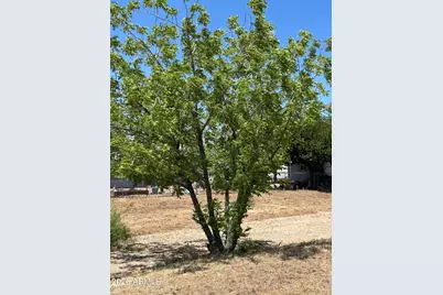 18628 S Joseph Hodge Road #80, Peeples Valley, AZ 86332 - Photo 4