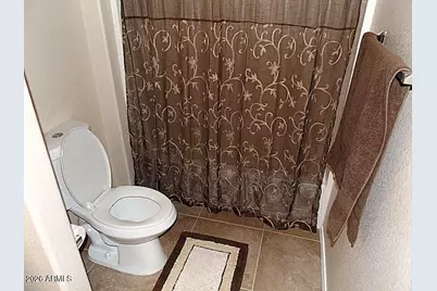4388 E Selena Drive, Phoenix, AZ 85050 - Photo 12