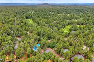 5054 Night Hawk Loop, Pinetop, AZ 85935 - Photo 32