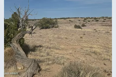 33 County Road N6211 -- #71, Saint Johns, AZ 85936 - Photo 10