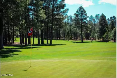 7025 Mark Twain Drive, Pinetop, AZ 85935 - Photo 50