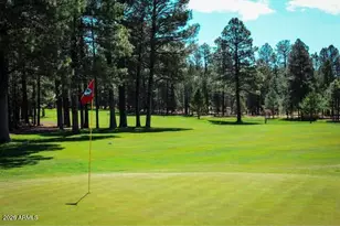 7025 Mark Twain Dr, Pinetop, AZ 85935 - Photo 50