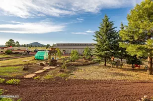 745 S Dust Devil Dr, Parks, AZ 86018 - Photo 66