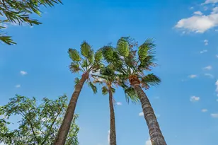 12441 W Toreador Dr, Sun City West, AZ 85375 - Photo 84