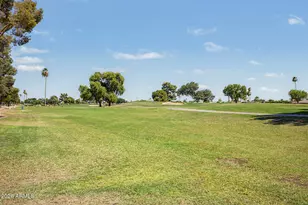 10189 W Pineaire Dr, Sun City, AZ 85351 - Photo 28