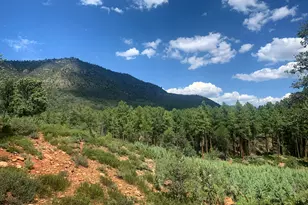 Lot 49 W Ruin Hill Loop Loop, Pine, AZ 85544 - Photo 1