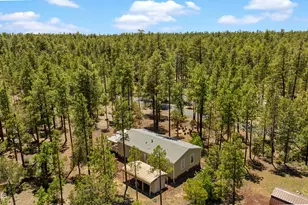 779 Lone Wolf Ln, Lakeside, AZ 85929 - Photo 36