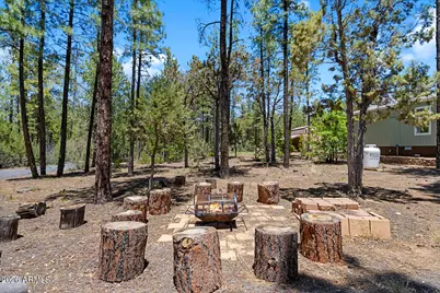779 Lone Wolf Lane, Lakeside, AZ 85929 - Photo 6