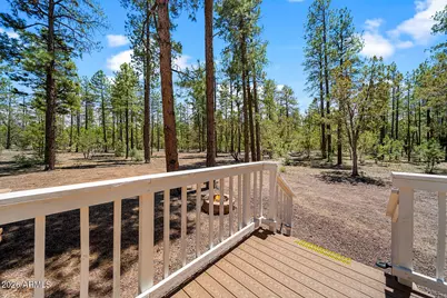 779 Lone Wolf Lane, Lakeside, AZ 85929 - Photo 14