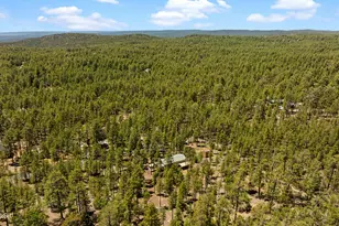 779 Lone Wolf Ln, Lakeside, AZ 85929 - Photo 38
