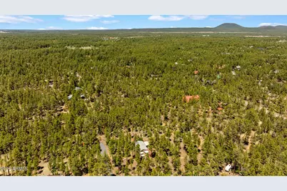 779 Lone Wolf Lane, Lakeside, AZ 85929 - Photo 40