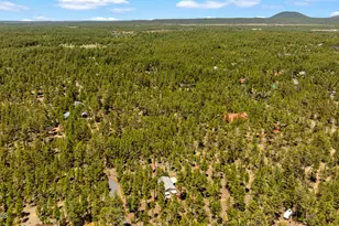 779 Lone Wolf Ln, Lakeside, AZ 85929 - Photo 40