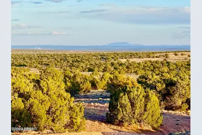 Tbd Co Rd N7120 40 Acres -- #-, Saint Johns, AZ 85936 - Photo 18
