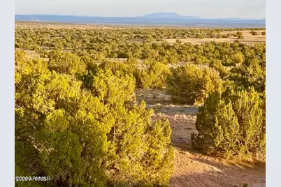 Tbd Co Rd N7120 40 Acres -- #-, Saint Johns, AZ 85936 - Photo 8