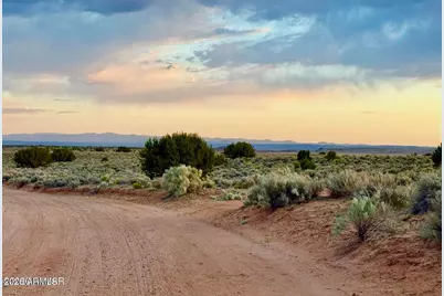 Tbd Co Rd N7120 40 Acres -- #-, Saint Johns, AZ 85936 - Photo 14