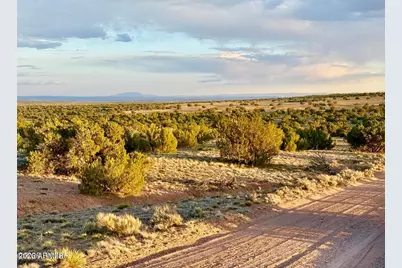Tbd Co Rd N7120 40 Acres -- #-, Saint Johns, AZ 85936 - Photo 6