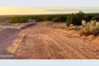 Tbd Co Rd N7120 40 Acres -- #-, Saint Johns, AZ 85936 - Photo 12