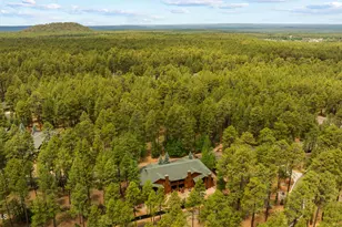 2773 Buck Crossing Way, Pinetop, AZ 85935 - Photo 42