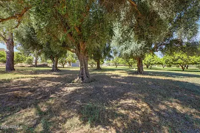 43455 N Jackrabbit Road, San Tan Valley, AZ 85140 - Photo 18