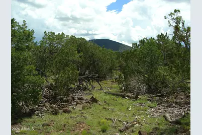 000 W Calle Adan -- #4992, Seligman, AZ 86337 - Photo 1