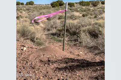 000 W Calle Adan -- #4992, Seligman, AZ 86337 - Photo 6