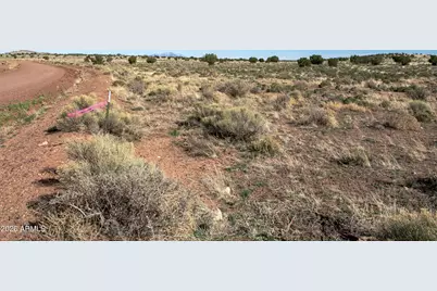 000 W Calle Adan -- #4992, Seligman, AZ 86337 - Photo 4