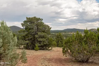 000 W Calle Adan -- #4992, Seligman, AZ 86337 - Photo 8